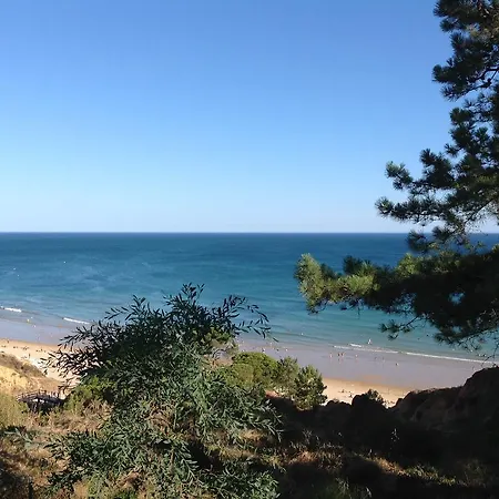 Sailing Acoteias Apartmán *