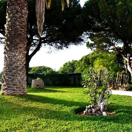 Sailing Studio Acoteias