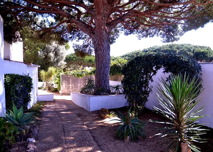 Sailing Acoteias 아파트 알부페이라