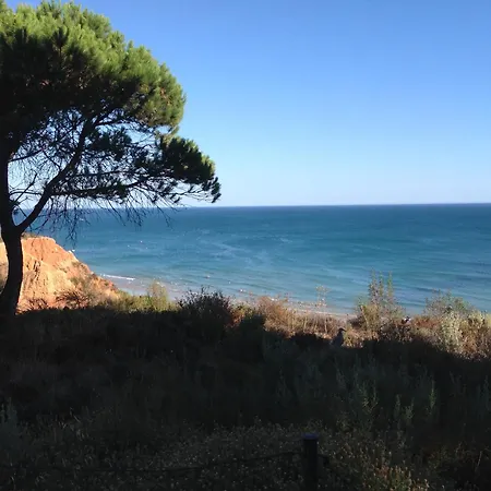 Sailing Studio Acoteias *